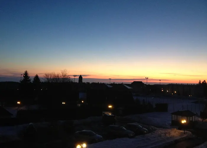 ホテル Wagners 3*